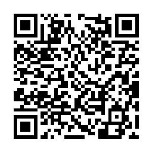 却被旁边也在取菜的一个三线女明星任灵给听到了二维码生成