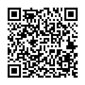 却被林铭这一枪上蕴含的强大气势和震动之力震的后退了一步二维码生成