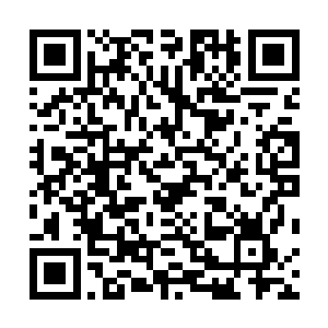 却被辽人的射雕手一一的射杀在那一块并不开阔的罅隙中二维码生成