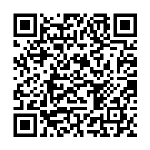 却被这么一群本应该如蝼蚁一般的存在弄得如此狼狈二维码生成