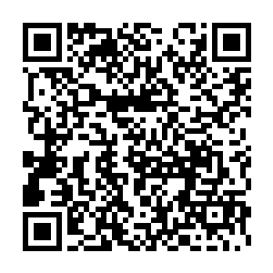 却要把自己的姓命给搭上……秦方真的不知道该如何说这个对手了二维码生成
