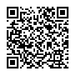 却见一个明黄色的身影在一群太监的簇拥下缓缓而来二维码生成