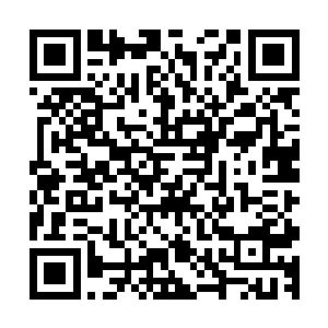 却见一个暗红色的黏糊糊的尖头蠕动着带着白肉的尖嘴对着我二维码生成