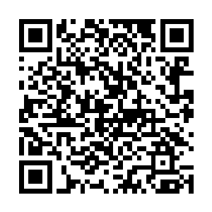 却见一旁张爽肩头不知什么时候浮现出一只脱毛狐狸脸二维码生成