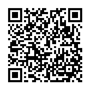 却见他又萌又大的双眸中迸射出一道凌厉的视线二维码生成