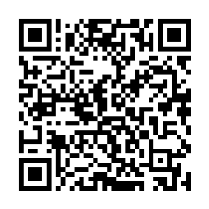 却见到了在外面候着的好几个人就直逼了过来要拿人二维码生成