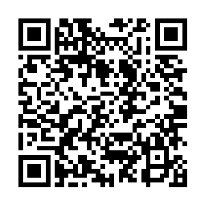 却见到怪风在刘宇心念一动的瞬间便将化妆镜往上吹起二维码生成