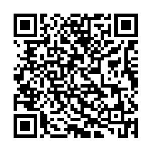 却见到是一个看起来二十不到的青年正含着笑看着他二维码生成