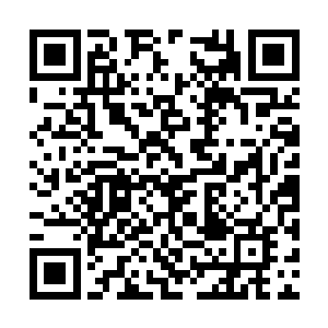 却见到苻敏儿看着左雅思手腕上的手镯愣了一会儿二维码生成