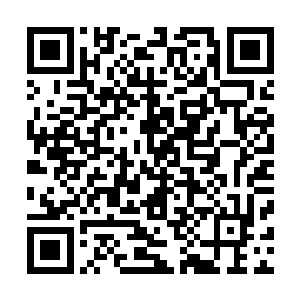 却见另外七条黑影全无征兆地自将军府各个角落里窜了出来二维码生成