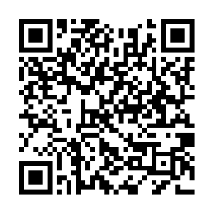 却见后方山林内迅速地又是杀出了一队队曹军精锐二维码生成