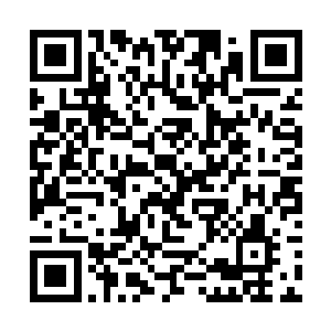 却见小侯爷与一位鹤发童颜的老翁立在一丛曼陀罗下二维码生成