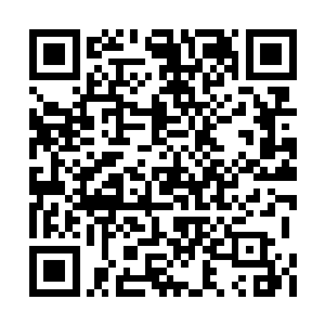 却见小家伙张嘴突然咬住了羽焰女神身上的裙子二维码生成