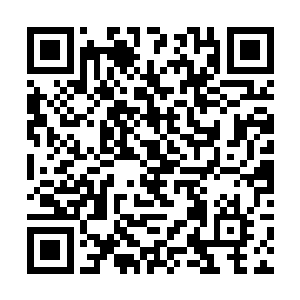 却见柳眸清已然从容地抓住九儿的手将其抱进了怀里二维码生成