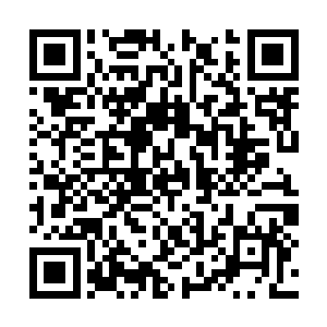 却见着他八条毛绒绒的蛛腿在地上飞快地移动起来二维码生成