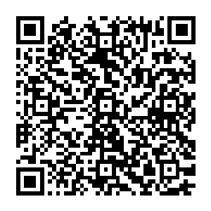 却见符阵里面原本威风八面缠住无数小手的元辰夕已经淹没在比他的柳条更多的小手中间了二维码生成