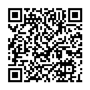 却见绿林的深处突然涌现出一股绚烂的绿色光团二维码生成