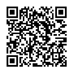 却见苏芷妍正姿态慵懒妩媚地斜靠在开着的房门上敲门二维码生成