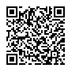 却见诗诗的一双妙目紧紧的锁定在前方的少年身上二维码生成