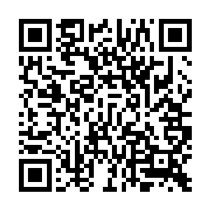 却见这个平时比谁都坏的家伙这时候似乎变成了榆木疙瘩二维码生成