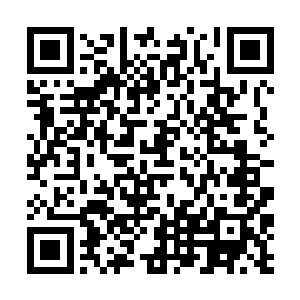 却见那分明真实无比的殿堂竟是同样剧烈的震颤起来二维码生成