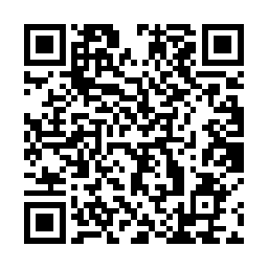 却见那原本站着紫明月等人的地方已经变的空荡荡的了二维码生成