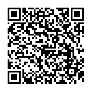 却见那原本除了外表有着一层奇特花纹的金属圆环现在却是一闪一闪的二维码生成