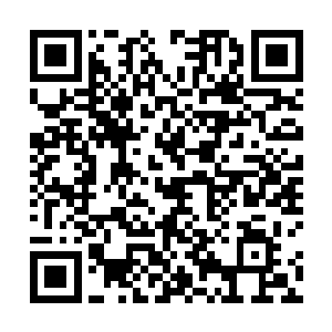 却见那沙尘之中猛然伸出一只几乎和他的手臂一般大小二维码生成