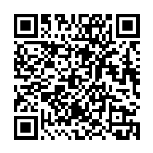 却见高高的席榻之上全部由……一层层金色的草席铺就二维码生成