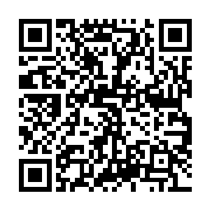 却让他们不得不重视起这个看起来没什么特别的250机甲团二维码生成