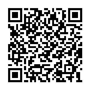 却让包括东方夏雪在内的四人都是有些目瞪口呆二维码生成