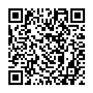 却让唐劫真真正正体验了一回星罗大千界的魅力所在二维码生成