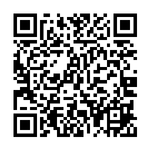 却让她感觉杨开好像对人族这边的关隘一无所知二维码生成