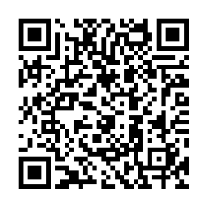 却让完全暴露在枪口下的武装分子遭遇了最为惨重的杀伤二维码生成
