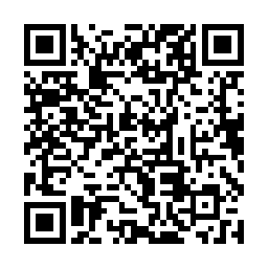 却说回到叶家一行人回到叶府之后却并没有安宁下来二维码生成