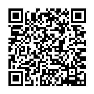 却跟普通的只知道服从命令闷着头干活的士兵不一样二维码生成