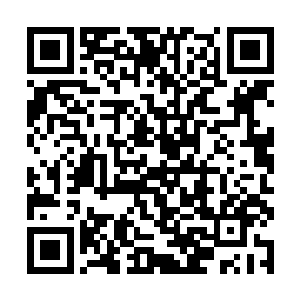 却还不至于能把秦方怎么样的……在短暂的不适之后二维码生成