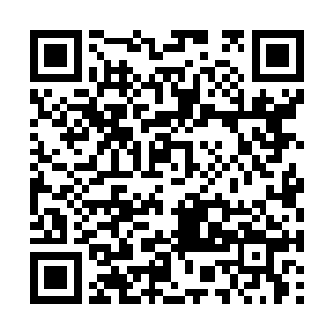 却还得勉强自己站在门口迎接来往的宾客……快了二维码生成