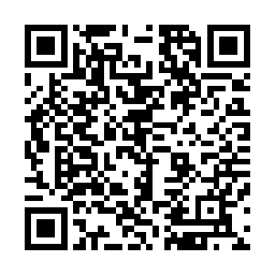 却还是无可奈何的就着念念推给她的那道素菜喝了小半碗粥二维码生成