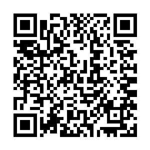 却还是这昆虫头部那如同长长针头一般的刺吸式口器二维码生成