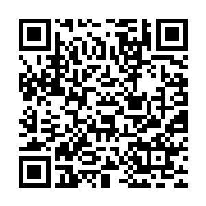 却还要经过林封谨的妖命气运衍生出来的那层淡淡紫红色雾气啊二维码生成