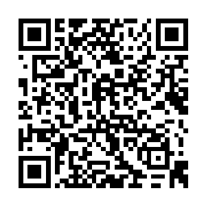 却远不如日日随侍的内监来得清楚他的作息习惯二维码生成