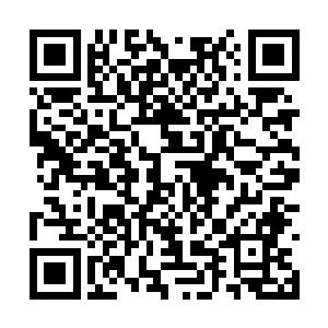 却都听得懂她的话--这是极精深的灵魂操控能力二维码生成