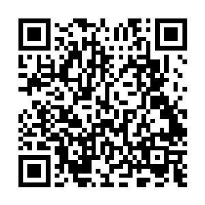 却随时有可能孕育着一个结合着他们彼此血脉基因的孩子二维码生成