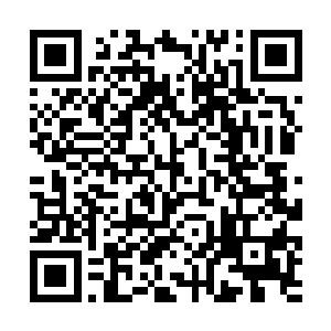 却难掩威猛气势的白发老人走出机场专用通道的时候二维码生成