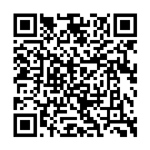 却骇然发现那原本被自己破坏的大网竟猛地一收二维码生成