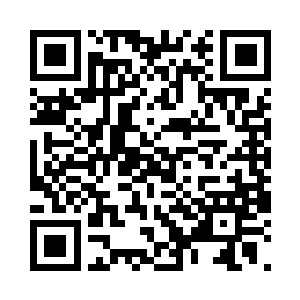 卷宗都拿反了……表情居然还这么浮夸二维码生成