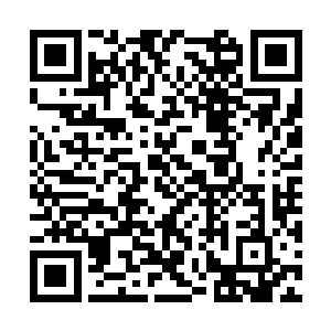 历代七品传奇宗师的大人都加入了华夏守护者一列二维码生成