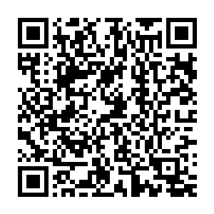 历来是惟有重点培养的精英弟子和立下绝大贡献的弟子才有资格进来二维码生成