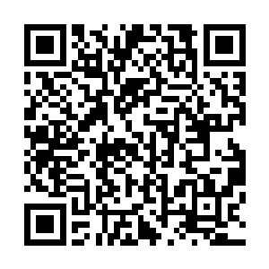 历经杀戮界那种紧张的生存状况来到一个新的地方新的环境二维码生成
